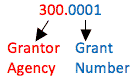 visual representation of grant name syntax