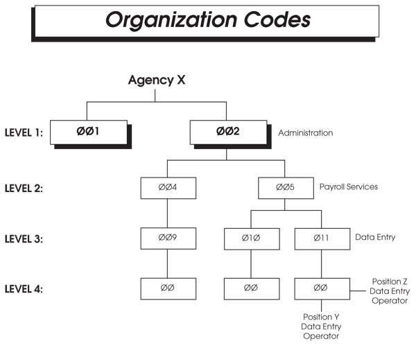 Agency X Organization Code Structure